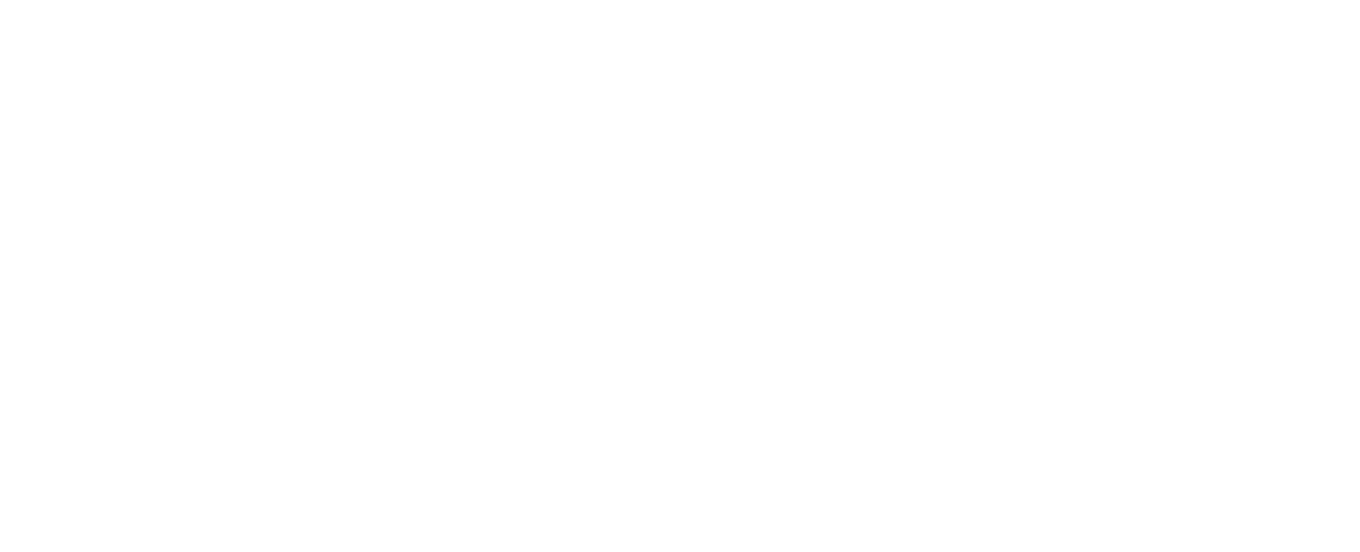 Pit Stop Park logo